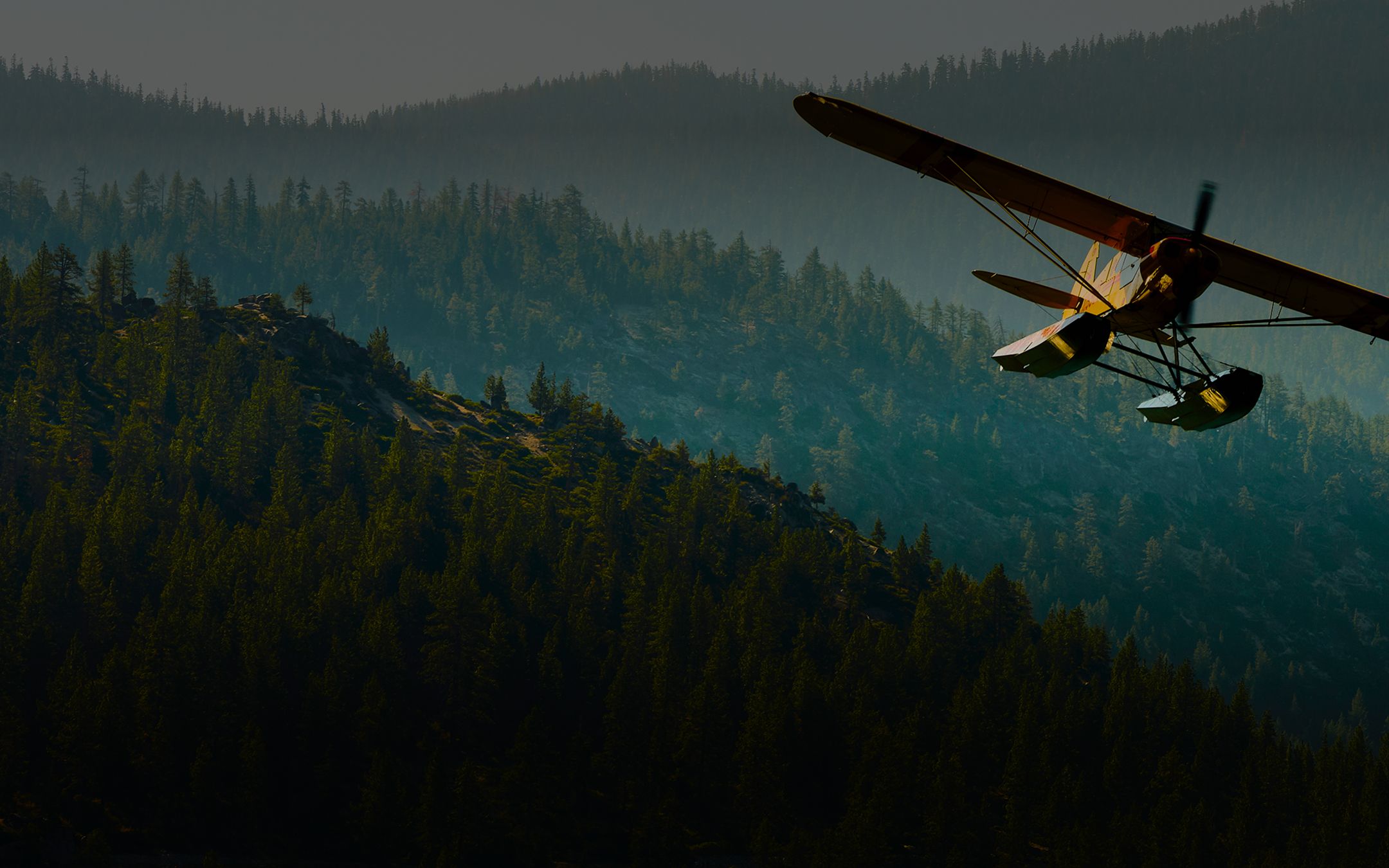 Airplane flying over evergreen forest symbolizing reimagined investing
