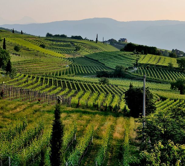 Card Background Image